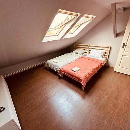 蒂米什瓦拉Serbian House住宿加早餐旅馆 外观 照片