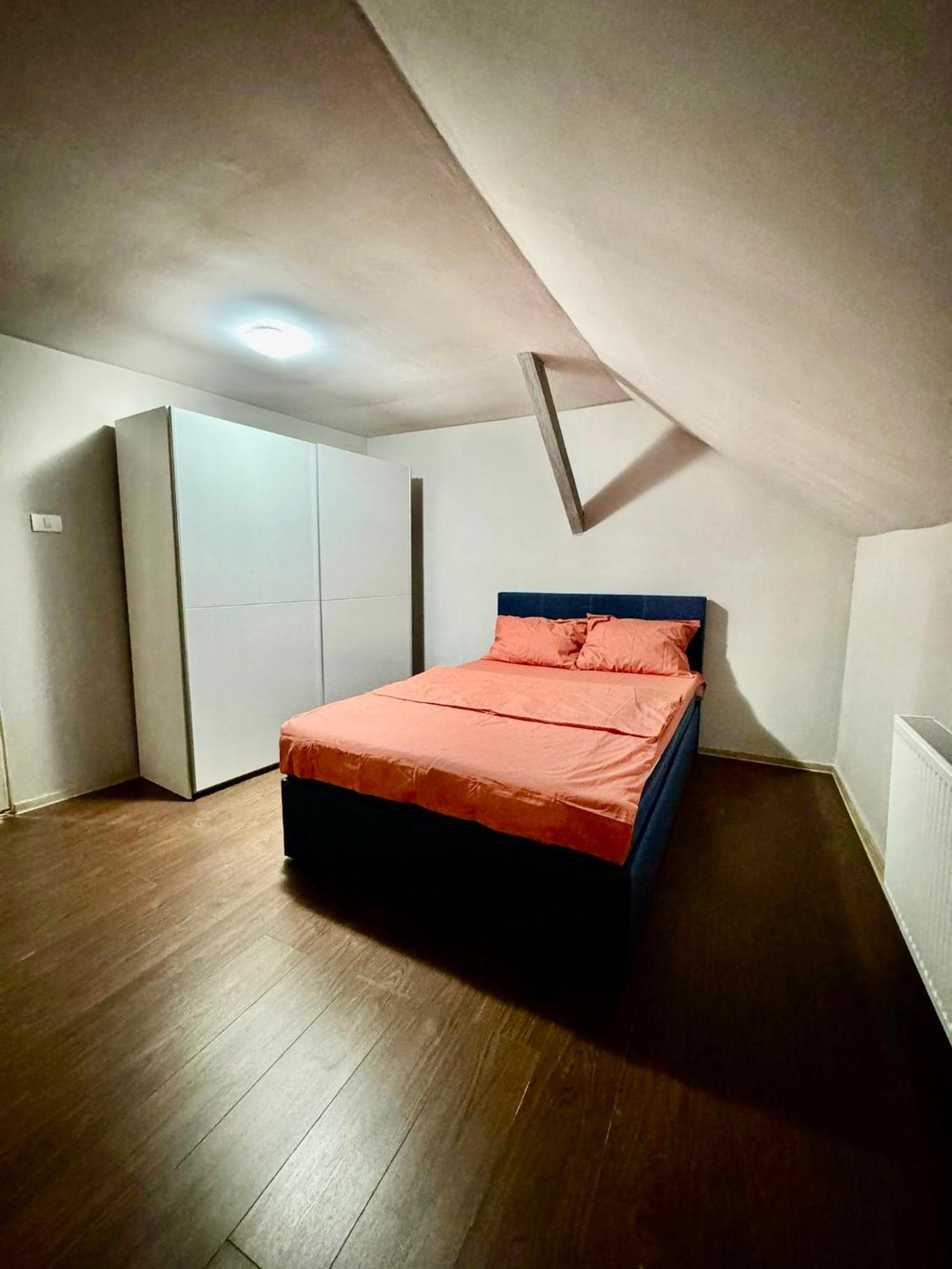 蒂米什瓦拉Serbian House住宿加早餐旅馆 外观 照片