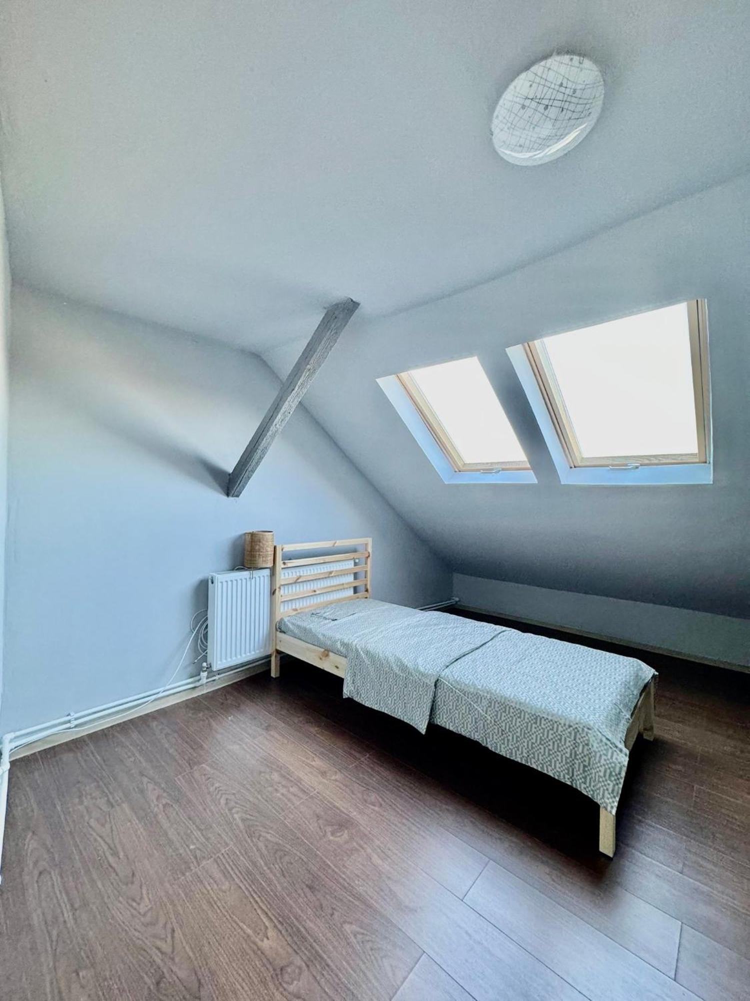 蒂米什瓦拉Serbian House住宿加早餐旅馆 外观 照片