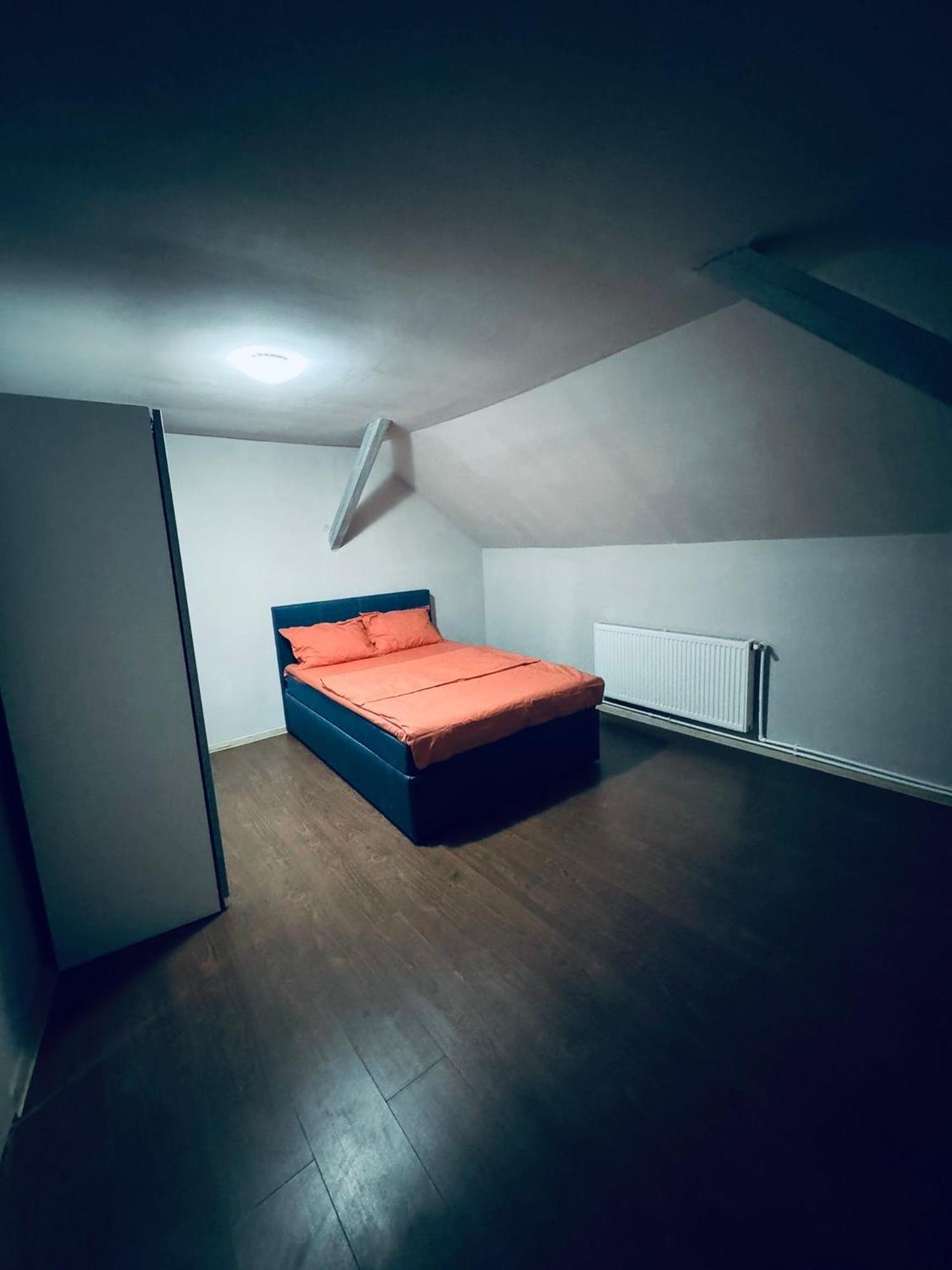 蒂米什瓦拉Serbian House住宿加早餐旅馆 外观 照片